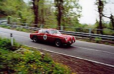 Alfa Romeo 1900 SSZ - Click for larger image